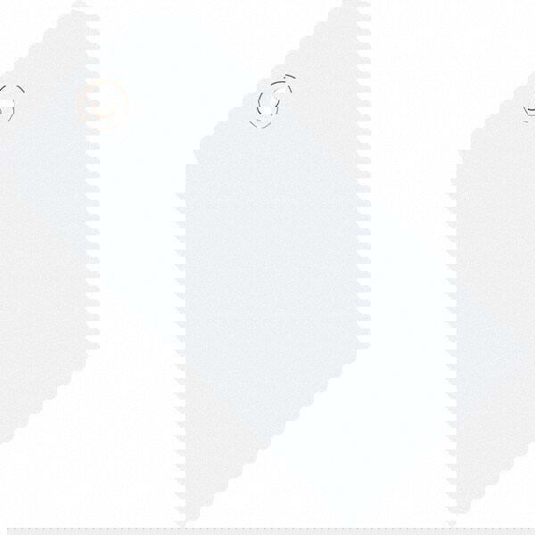 Blank Tag: 6-1/4'' High, White, Synthetic Paper